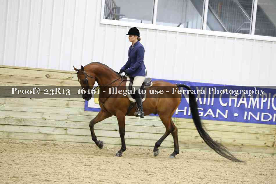 Proof 23R13_16161