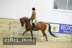 23R13_16164 proof