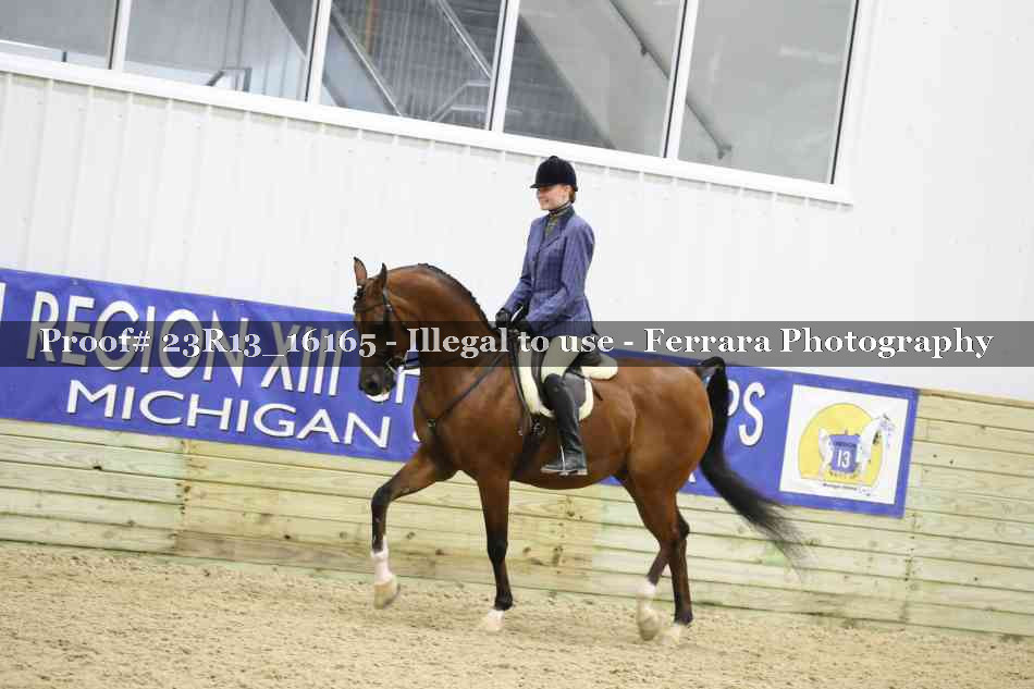 Proof 23R13_16165