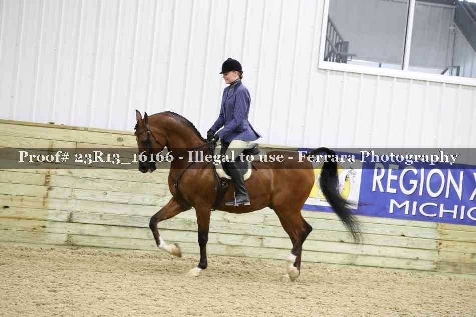 Proof 23R13_16166