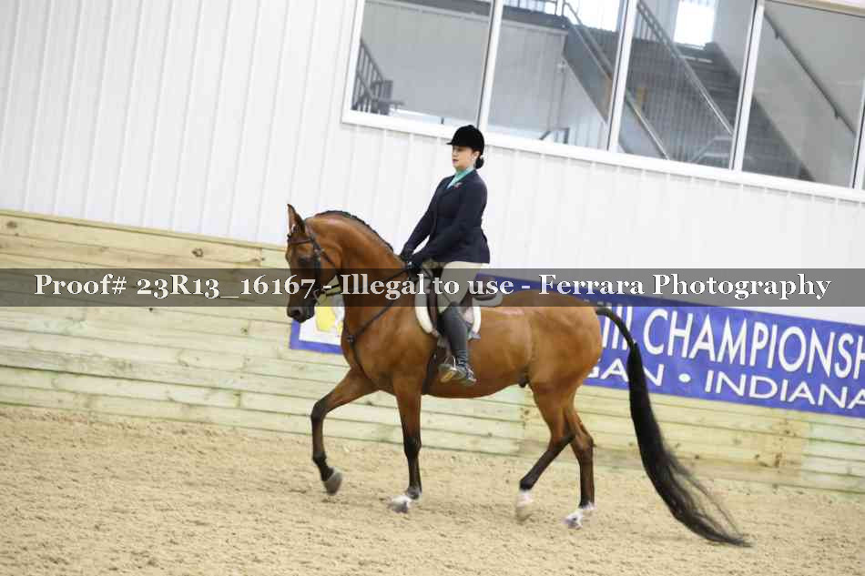 Proof 23R13_16167