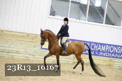 23R13_16167 proof