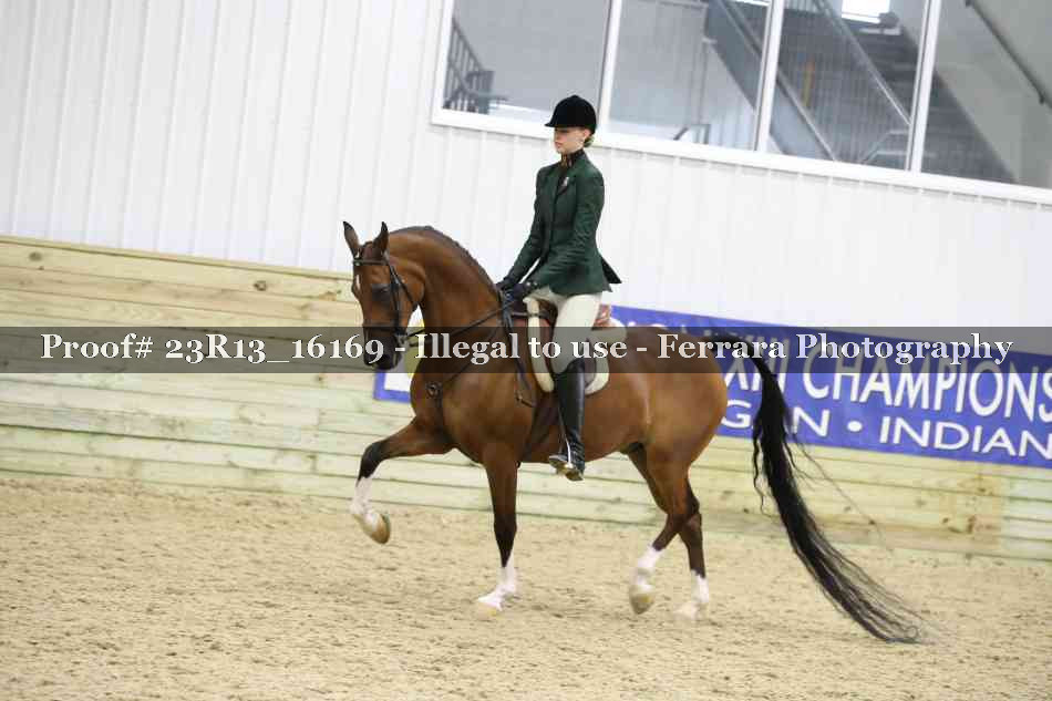Proof 23R13_16169