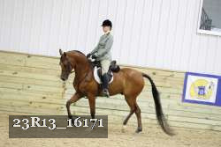 23R13_16171 proof