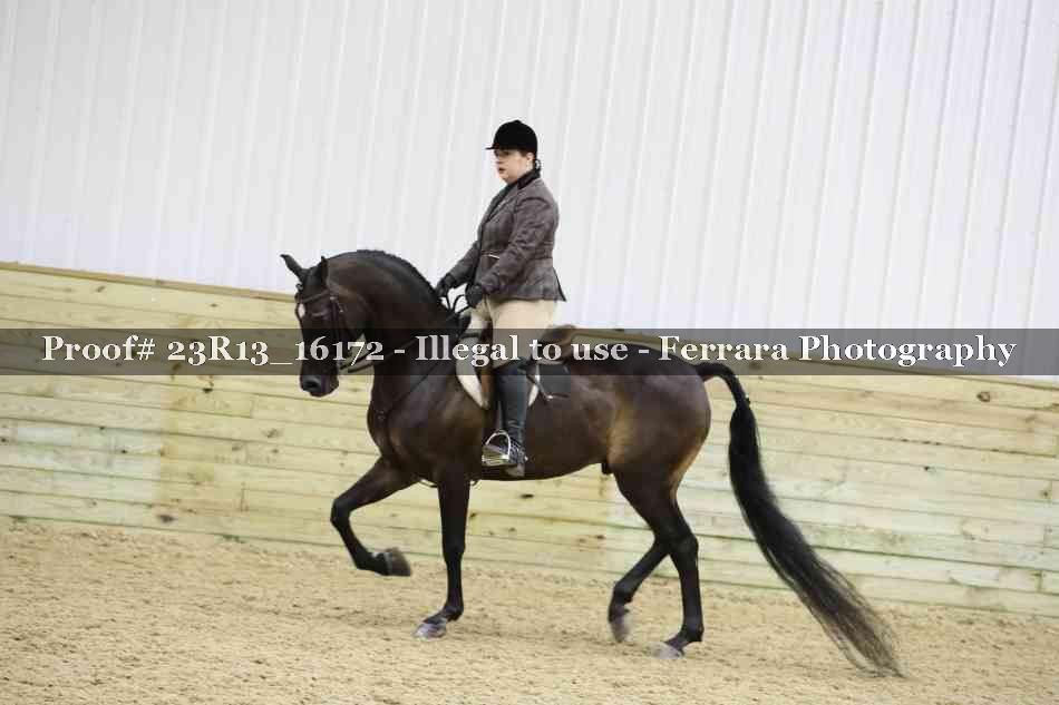 Proof 23R13_16172