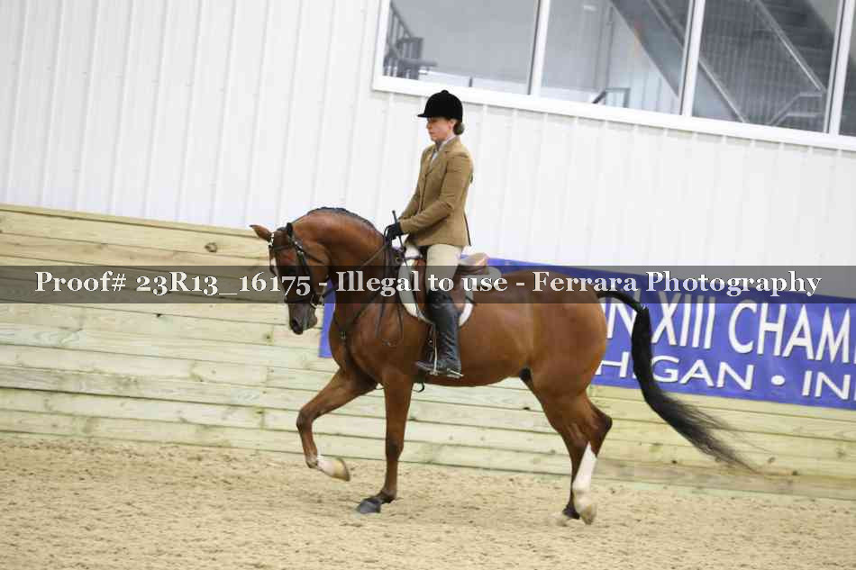 Proof 23R13_16175