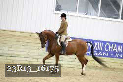 23R13_16175 proof
