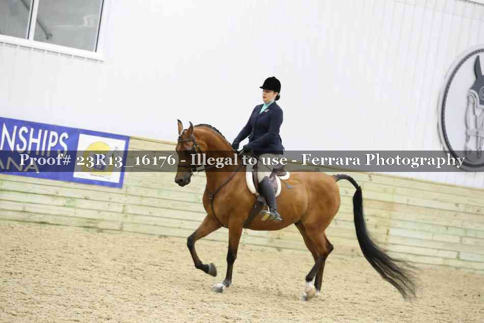 Proof 23R13_16176