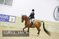 23R13_16176 proof