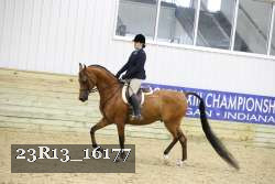 23R13_16177 proof