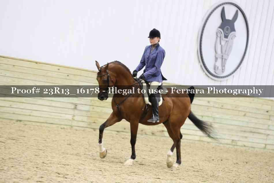 Proof 23R13_16178