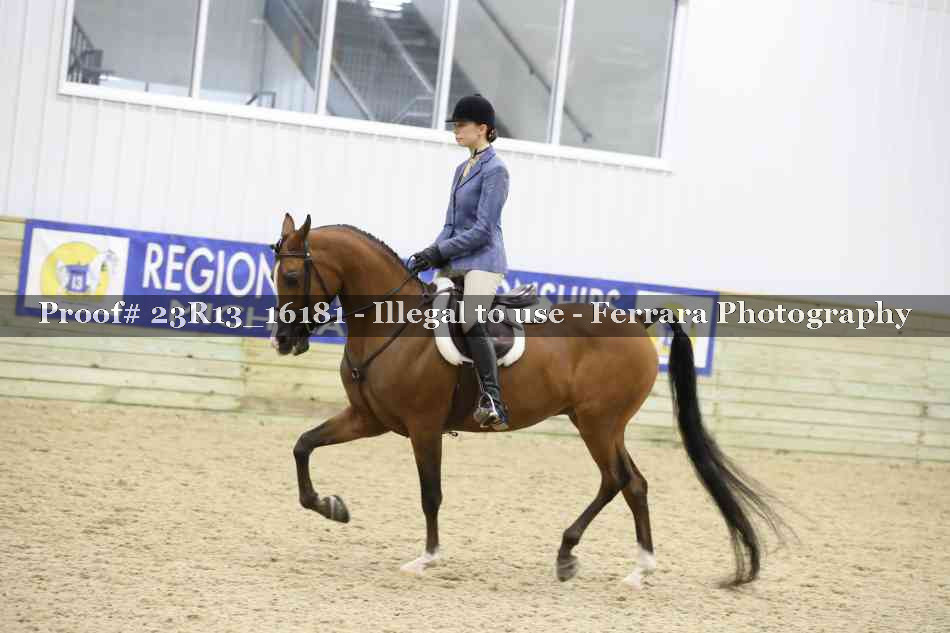 Proof 23R13_16181