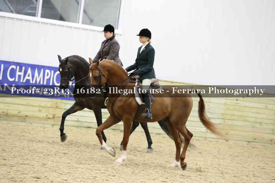 Proof 23R13_16182
