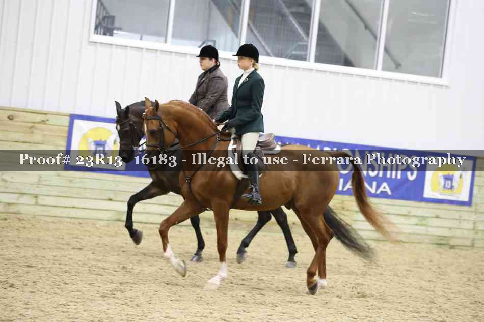Proof 23R13_16183