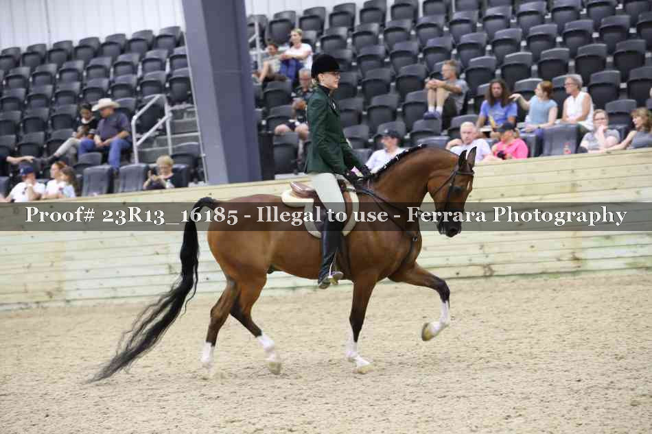 Proof 23R13_16185