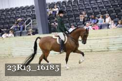 23R13_16185 proof