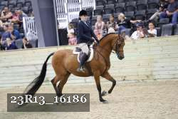 23R13_16186 proof