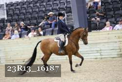 23R13_16187 proof