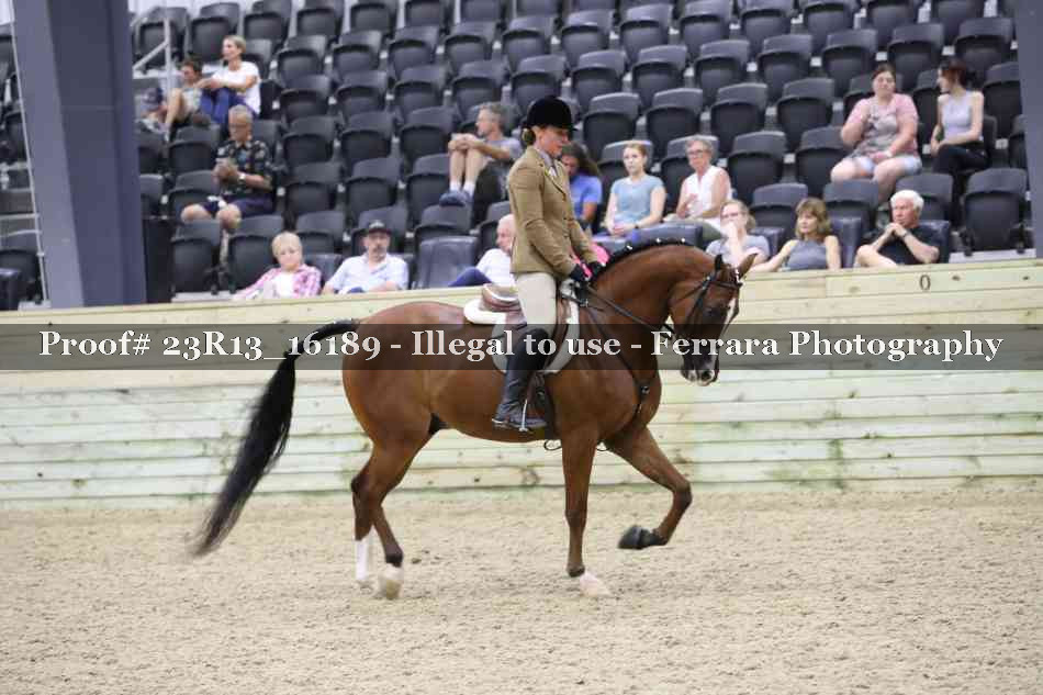 Proof 23R13_16189