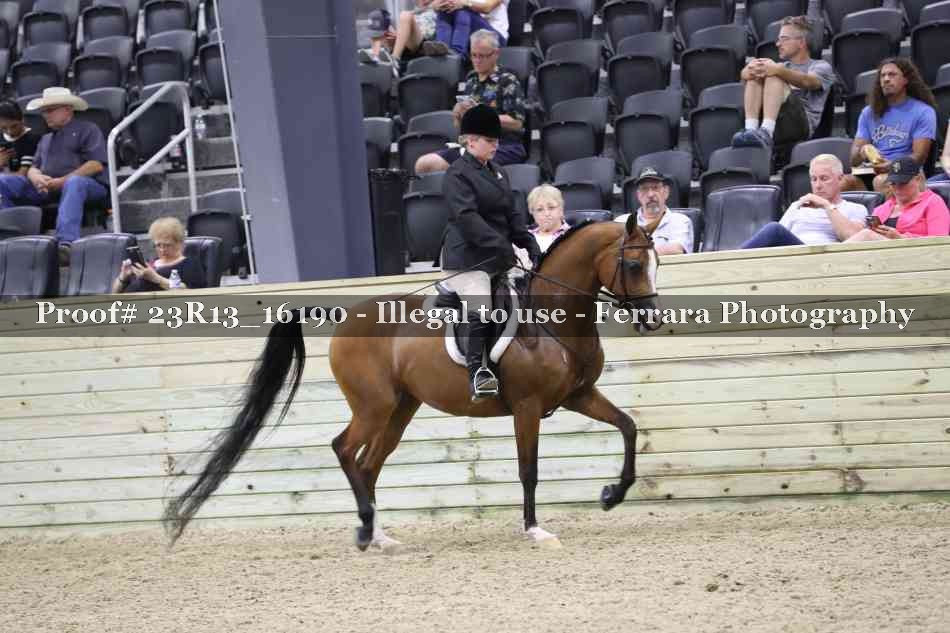 Proof 23R13_16190