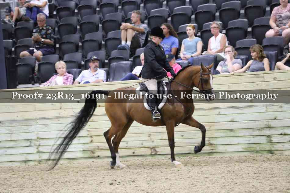 Proof 23R13_16191