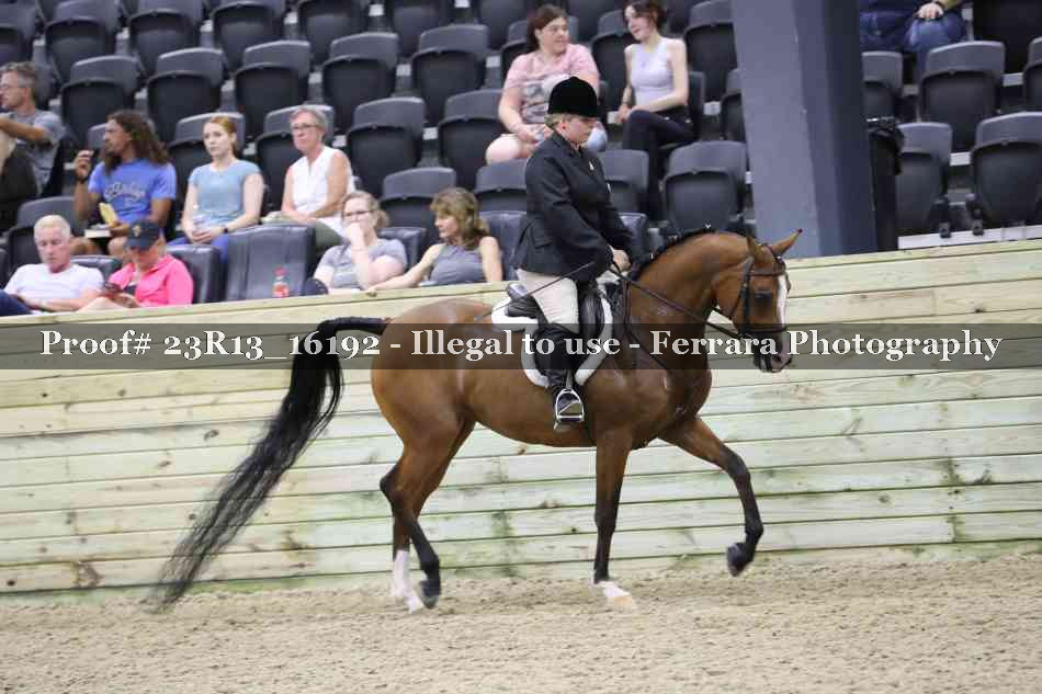Proof 23R13_16192