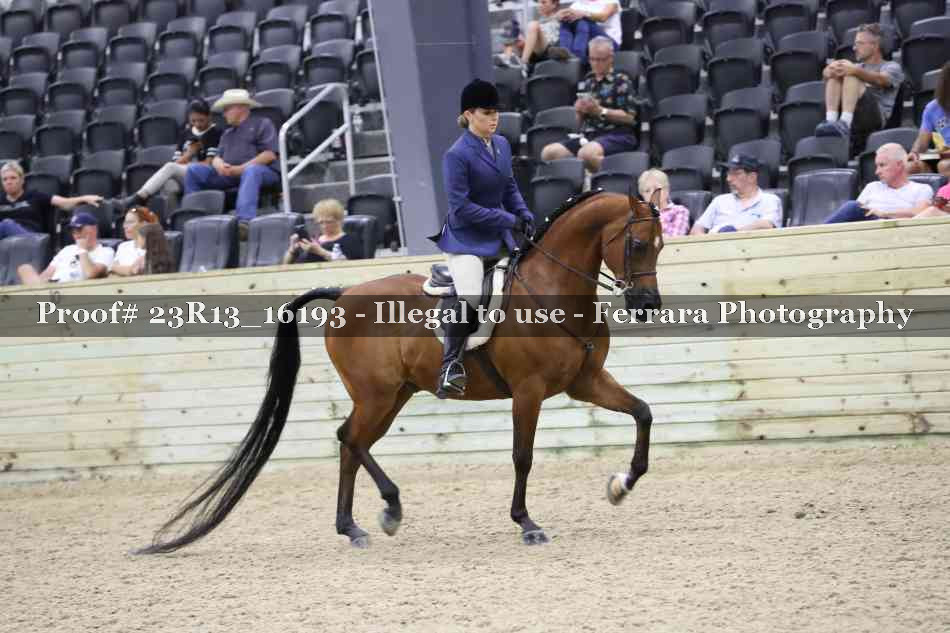 Proof 23R13_16193