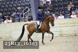 23R13_16193 proof
