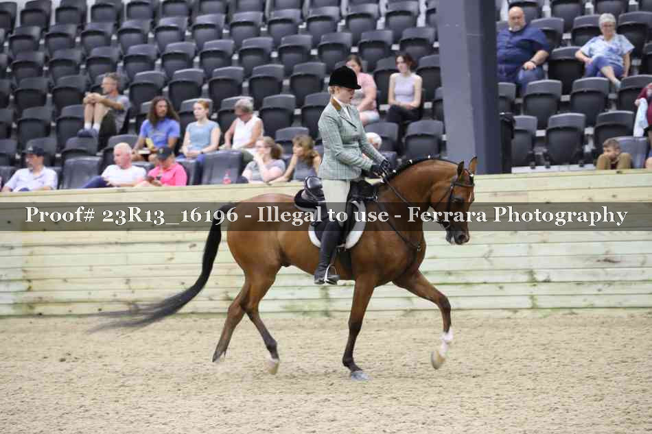 Proof 23R13_16196
