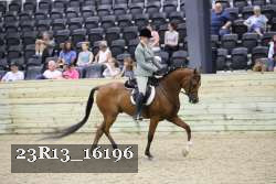 23R13_16196 proof