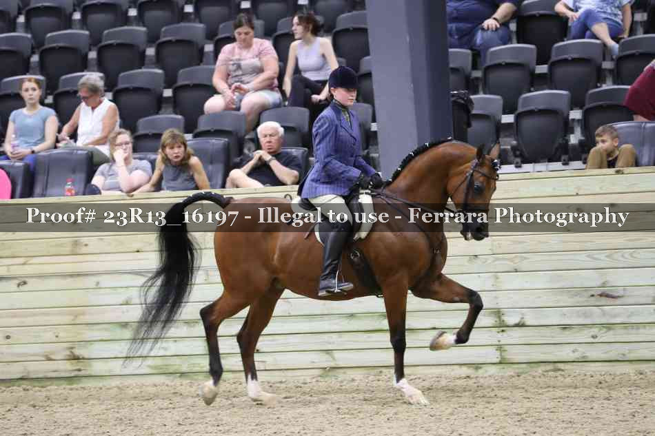 Proof 23R13_16197