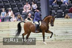 23R13_16197 proof