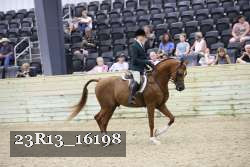 23R13_16198 proof