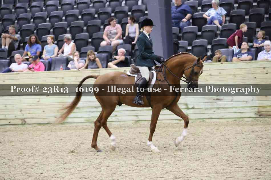 Proof 23R13_16199