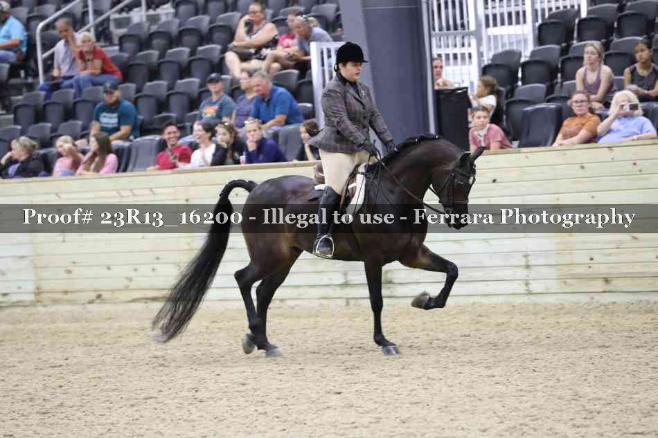Proof 23R13_16200