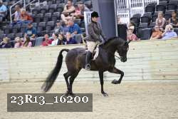 23R13_16200 proof