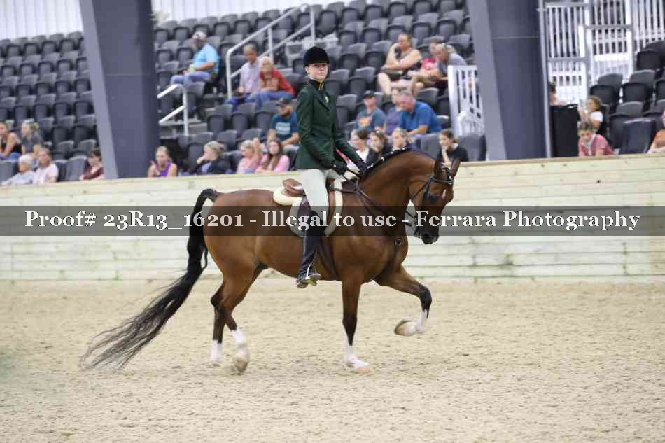 Proof 23R13_16201