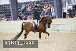 23R13_16201 proof