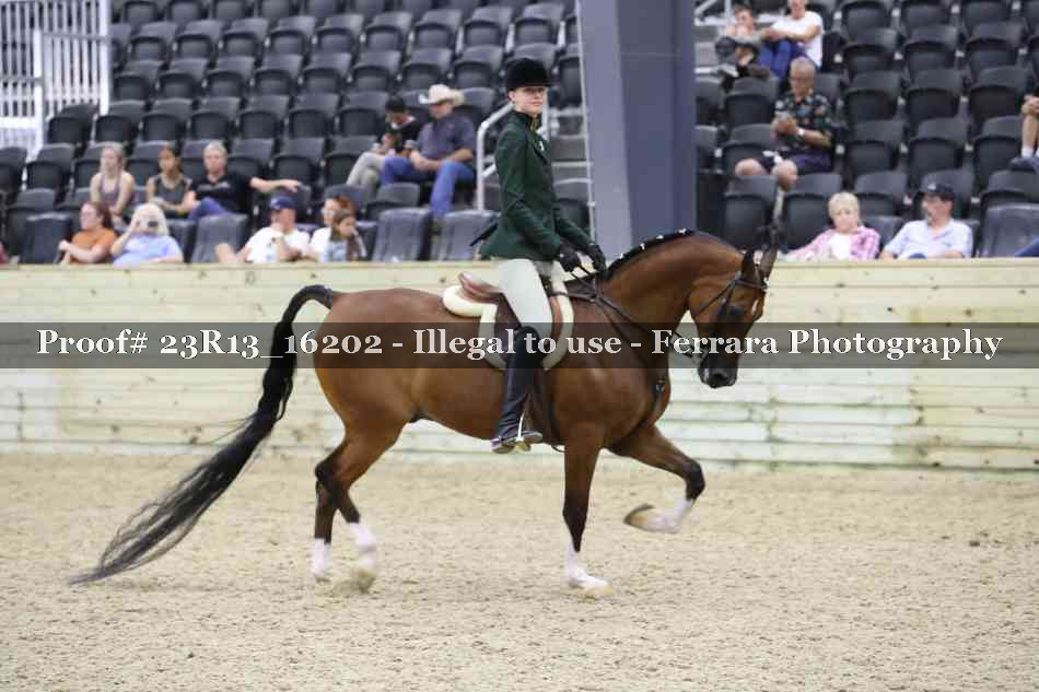 Proof 23R13_16202