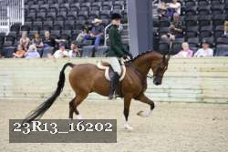 23R13_16202 proof