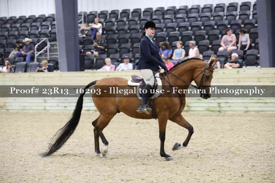 Proof 23R13_16203