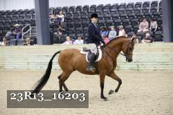 23R13_16203 proof