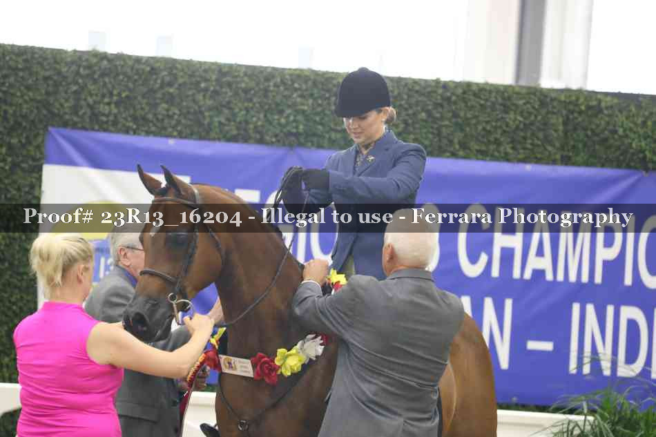 Proof 23R13_16204