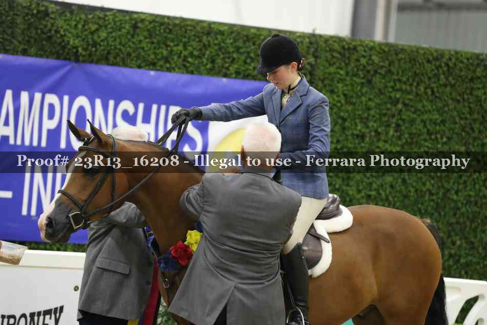 Proof 23R13_16208