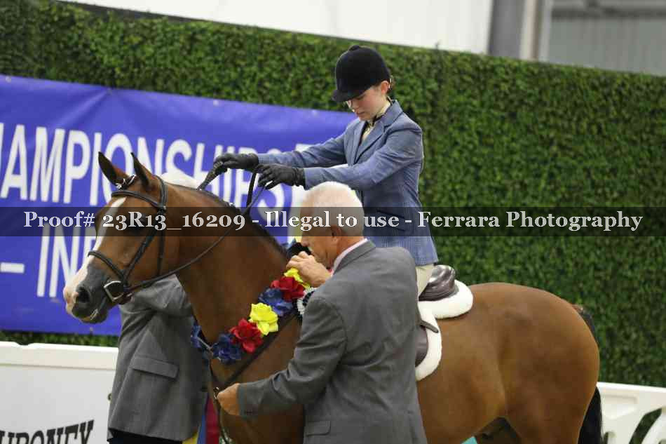 Proof 23R13_16209