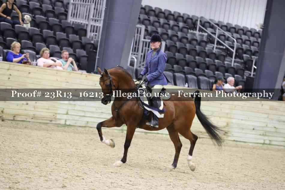 Proof 23R13_16213
