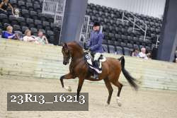 23R13_16213 proof