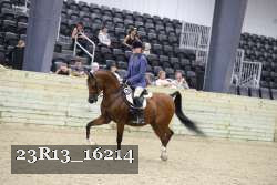 23R13_16214 proof
