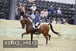 23R13_16215 proof