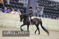 23R13_16216 proof